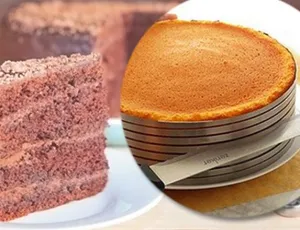 Adjustable Layer Cake Slice Mould