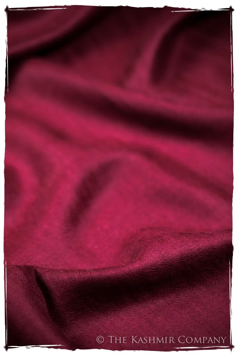 Bul Bul Garnet Kashmir Wool Scarf