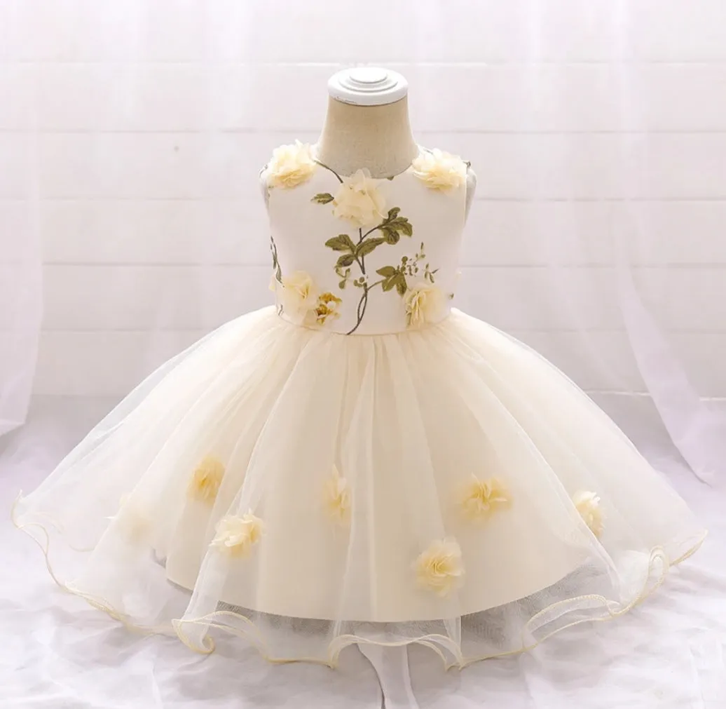 Champagne Floral Party Dress (3M-24M)