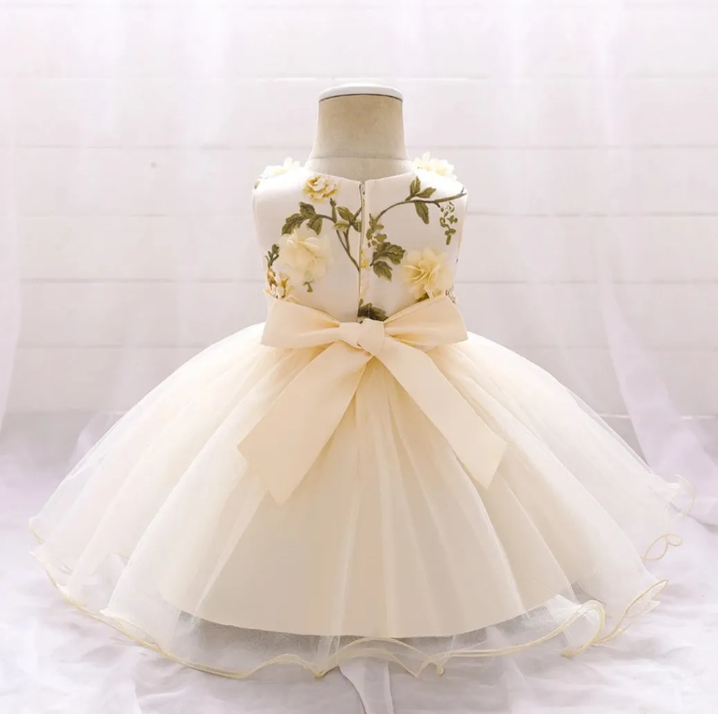 Champagne Floral Party Dress (3M-24M)