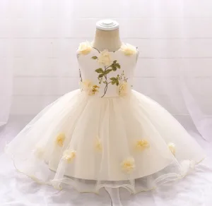 Champagne Floral Party Dress (3M-24M)