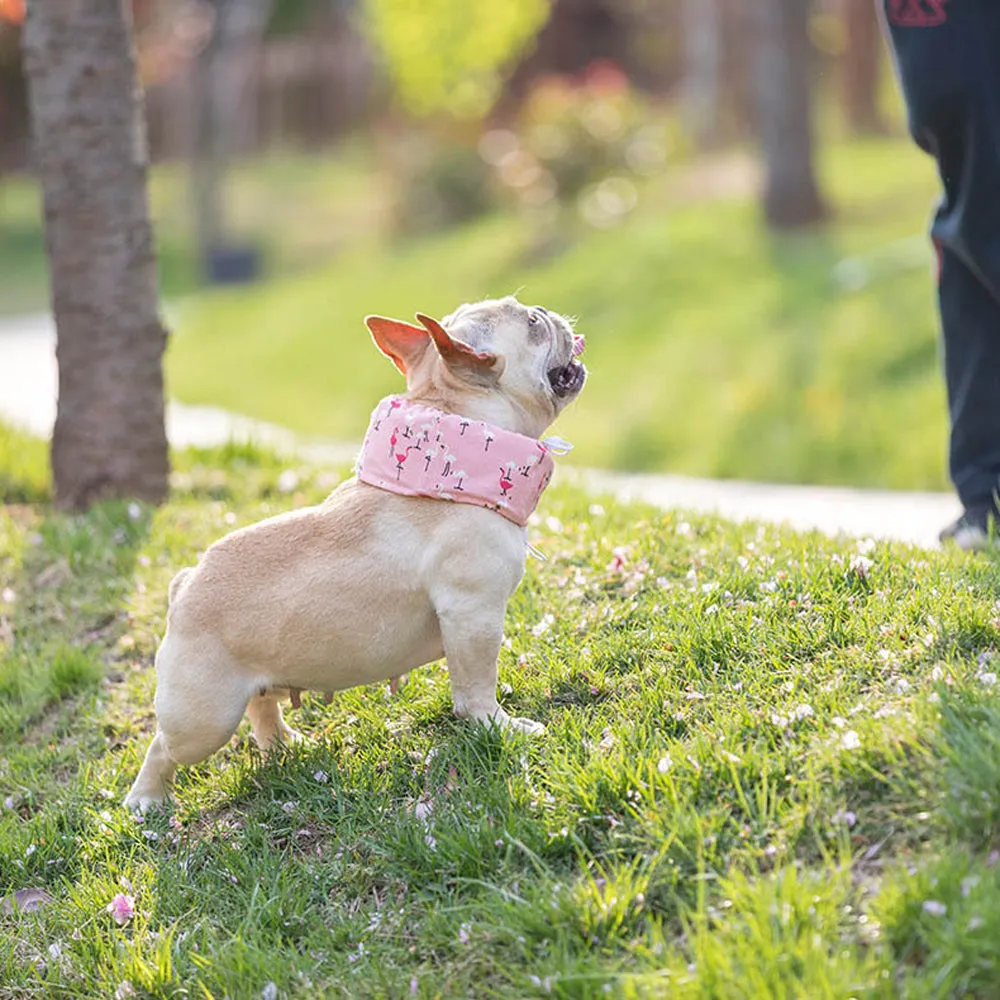 Frenchie Summer Cooling Scarf Anti-Heatstroke