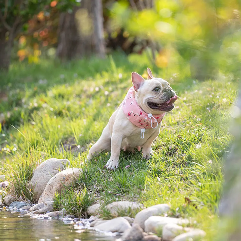 Frenchie Summer Cooling Scarf Anti-Heatstroke