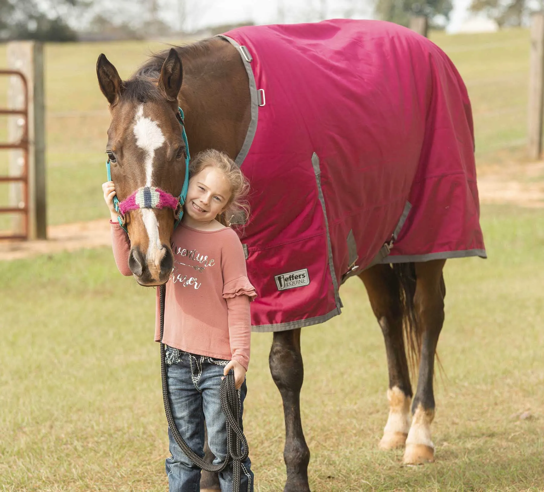 Jeffers Romper Stomper Horse Turnout Sheet, 1680 Denier, Maroon/Gray