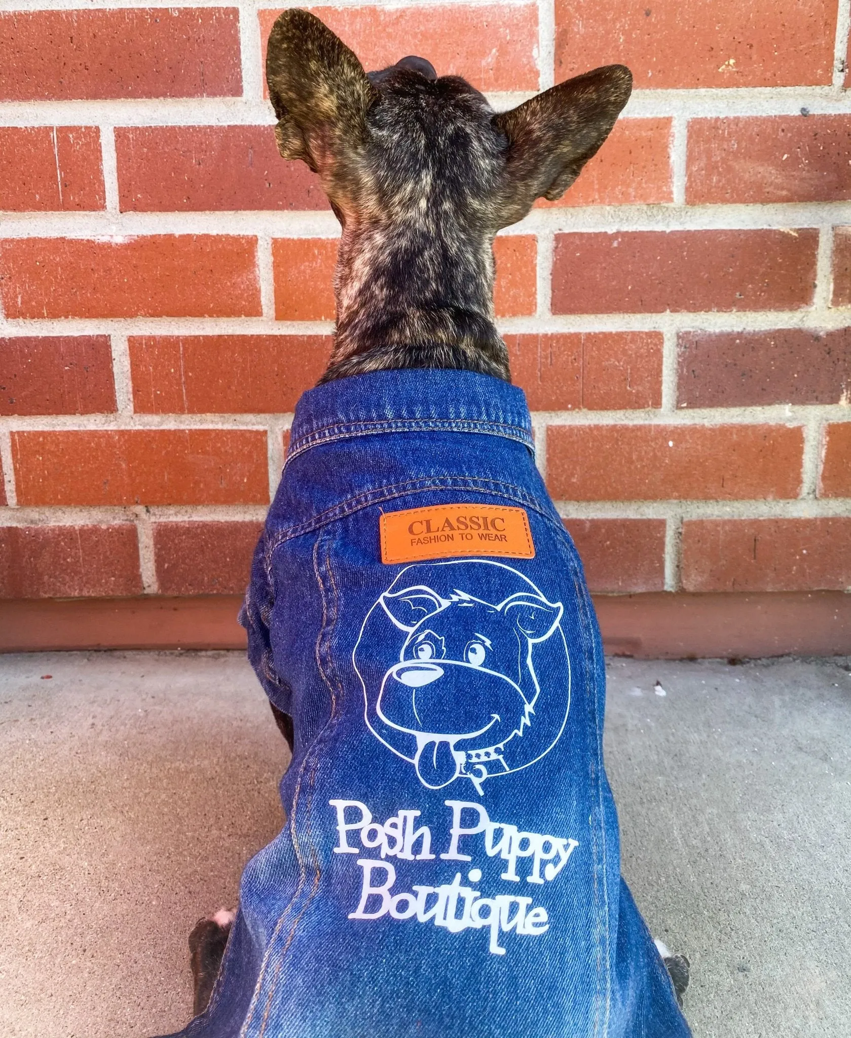 Posh Puppy Limited Edition Denim Jacket