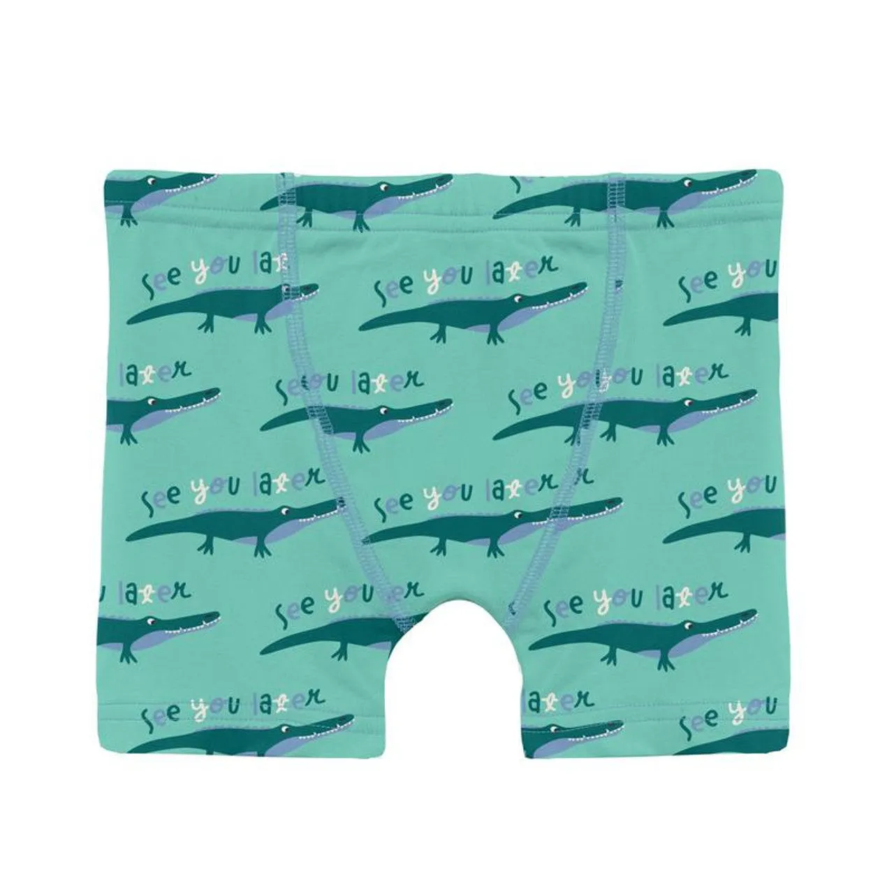 Print Boy's Boxer Brief